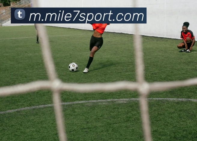 米乐体育官网平台生态图